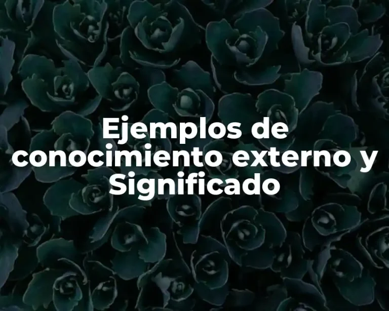 Ejemplos de conocimiento externo y Significado