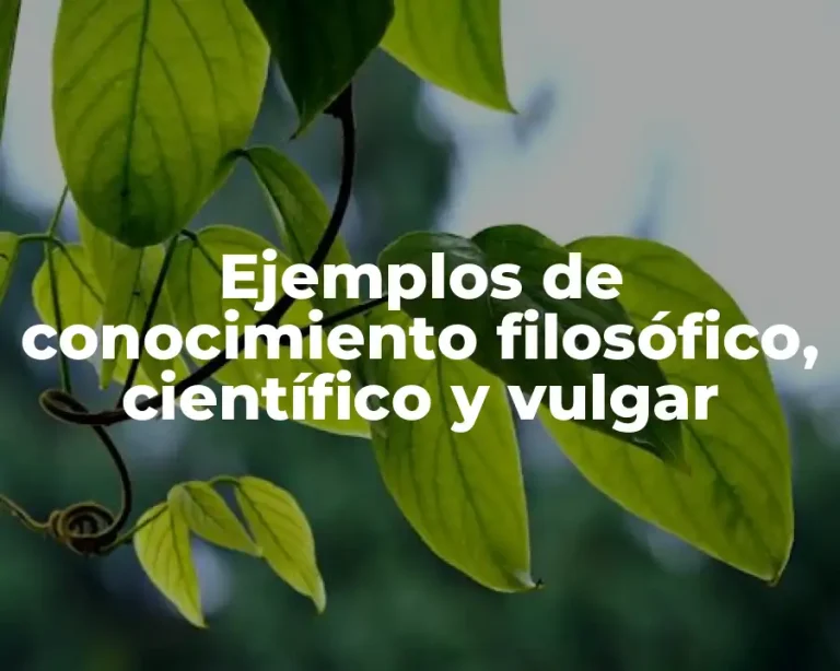 Ejemplos de conocimiento filosófico, científico y vulgar