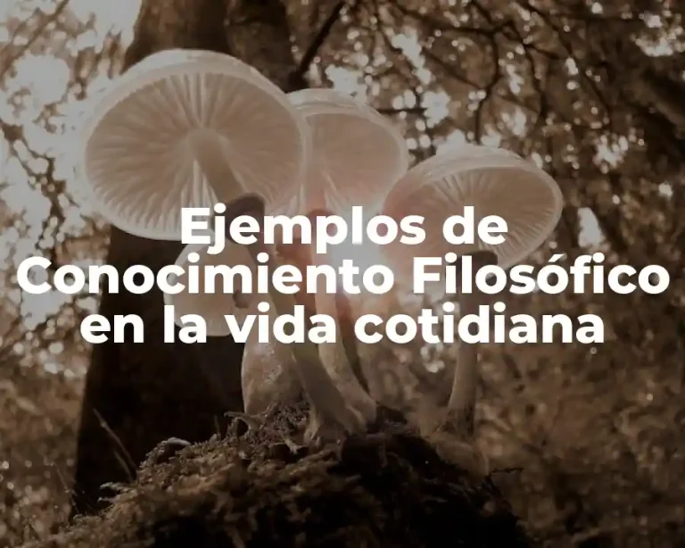 Ejemplos de Conocimiento Filosófico en la vida cotidiana