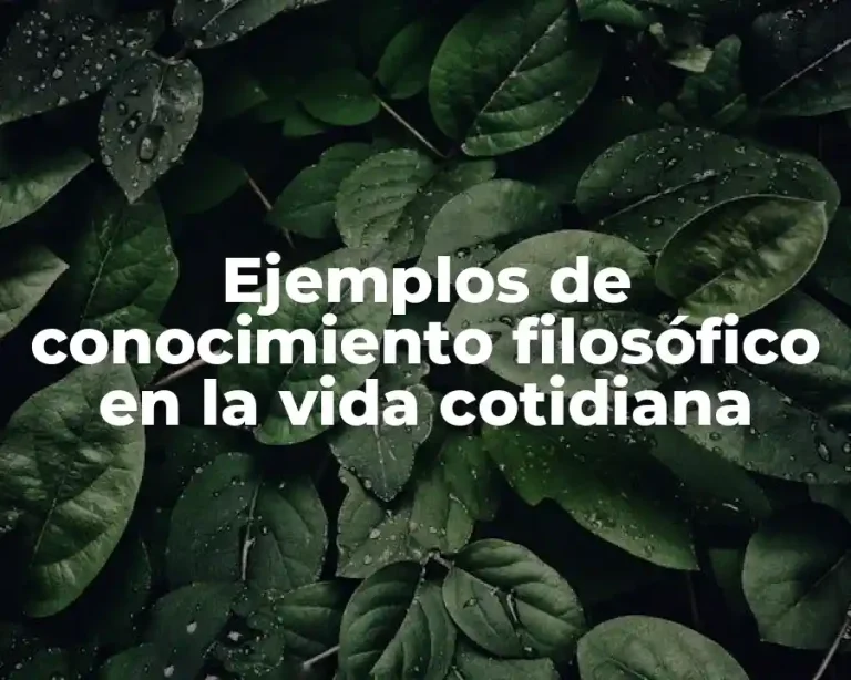 Ejemplos de conocimiento filosófico en la vida cotidiana