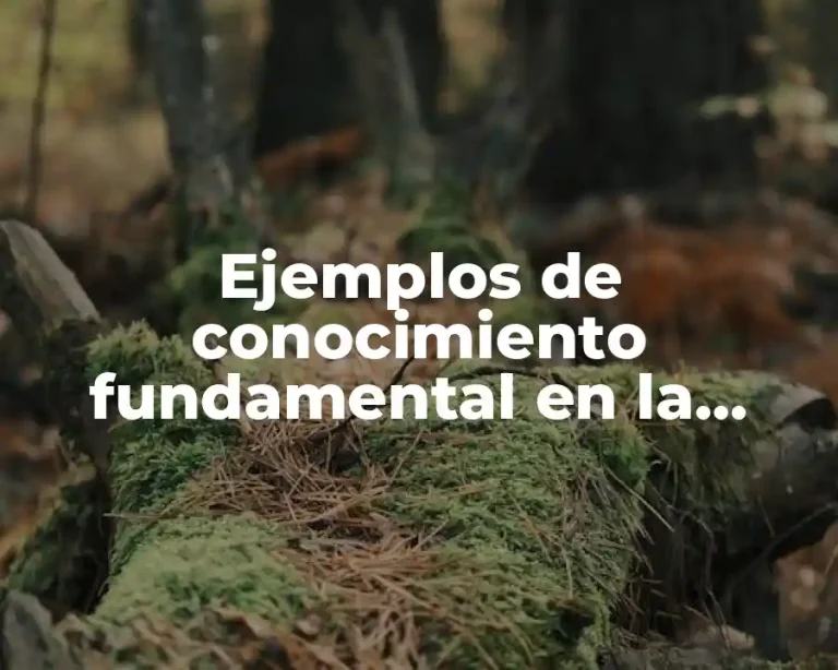 Ejemplos de conocimiento fundamental en la teoría dfss