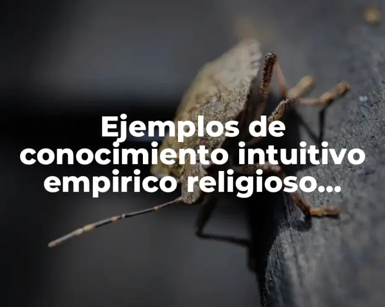 Ejemplos de conocimiento intuitivo empirico religioso filosofico
