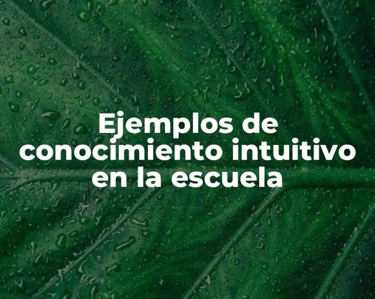 Ejemplos de conocimiento intuitivo en la escuela