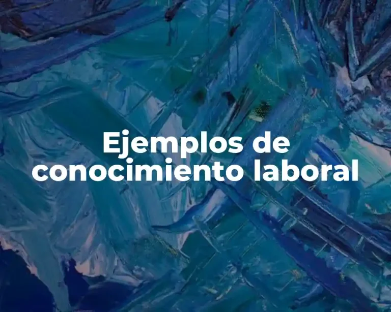 Ejemplos de conocimiento laboral