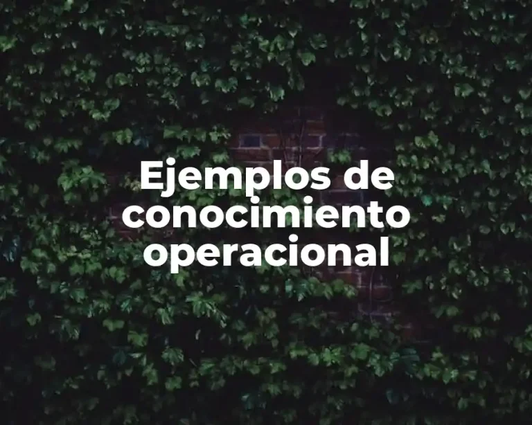 Ejemplos de conocimiento operacional