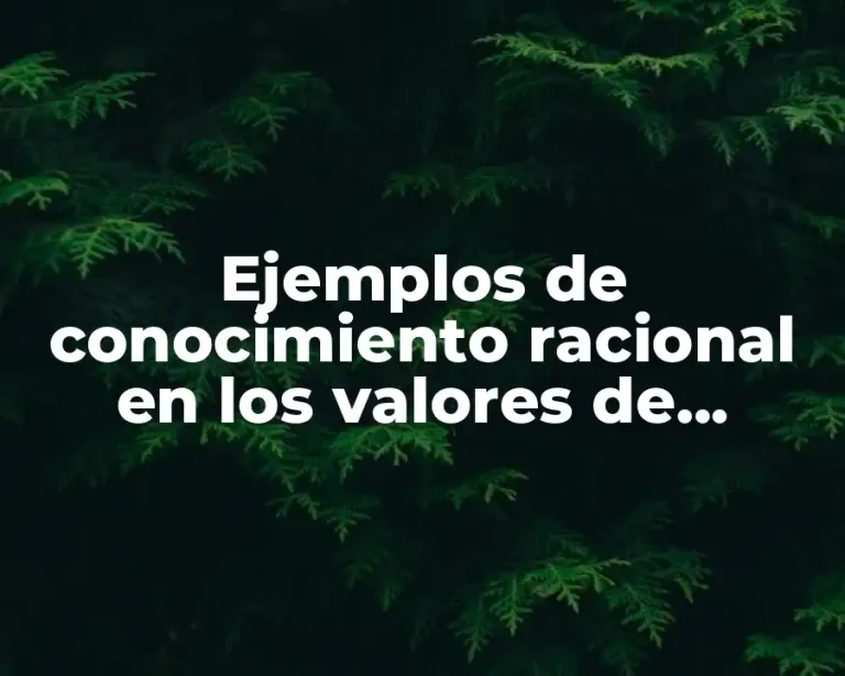 Ejemplos de conocimiento racional en los valores de enfermería y Significado