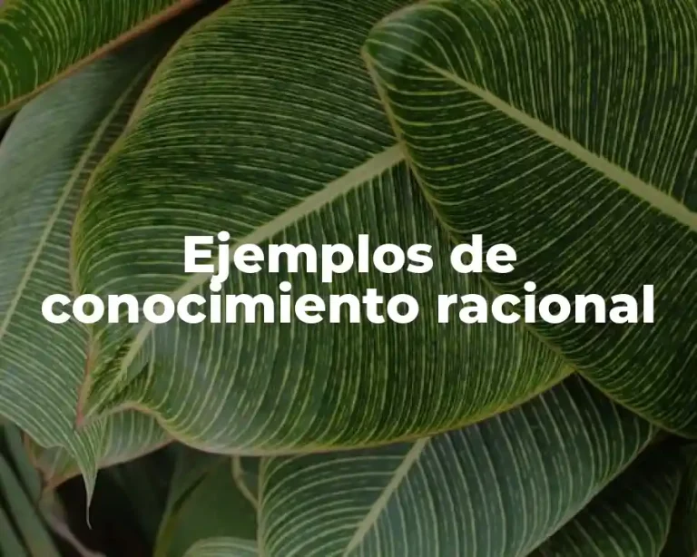 Ejemplos de conocimiento racional