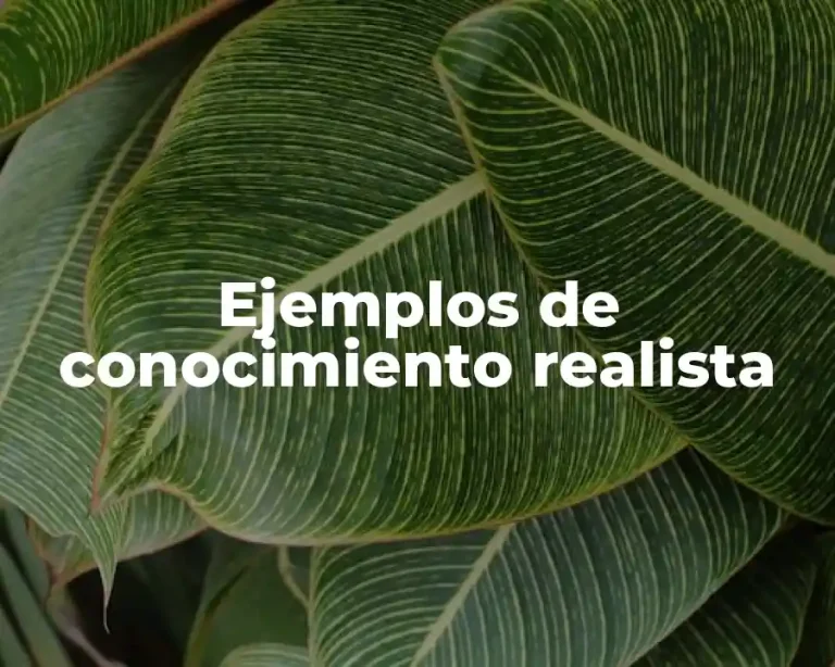 Ejemplos de conocimiento realista