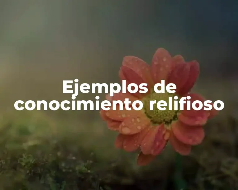 Ejemplos de conocimiento relifioso
