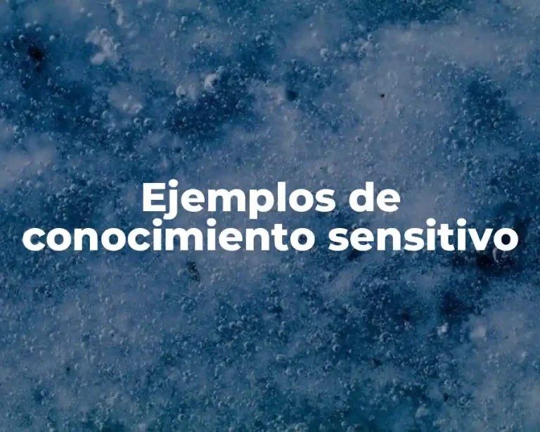 Ejemplos de conocimiento sensitivo