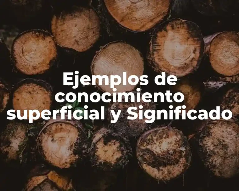 Ejemplos de conocimiento superficial y Significado