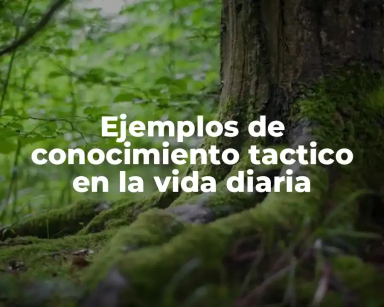 Ejemplos de conocimiento tactico en la vida diaria