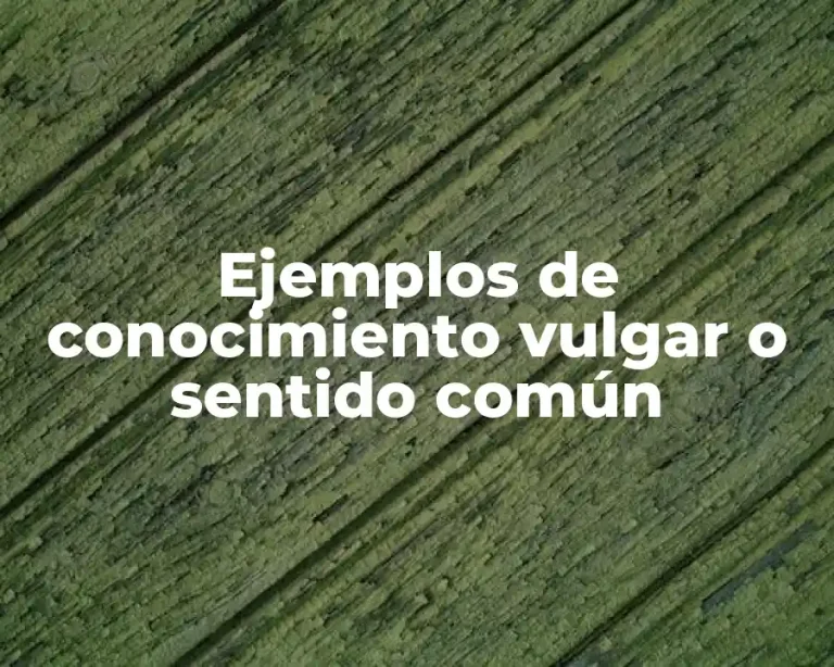 Ejemplos de conocimiento vulgar o sentido común