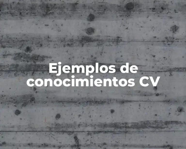 Ejemplos de conocimientos CV