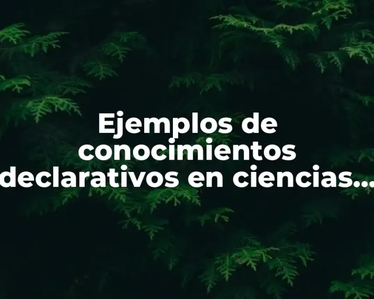 Ejemplos de conocimientos declarativos en ciencias naturales para niños y Significado