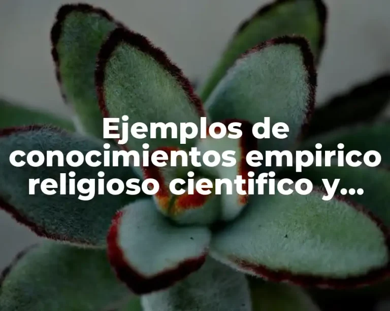 Ejemplos de conocimientos empirico religioso cientifico y filosofico