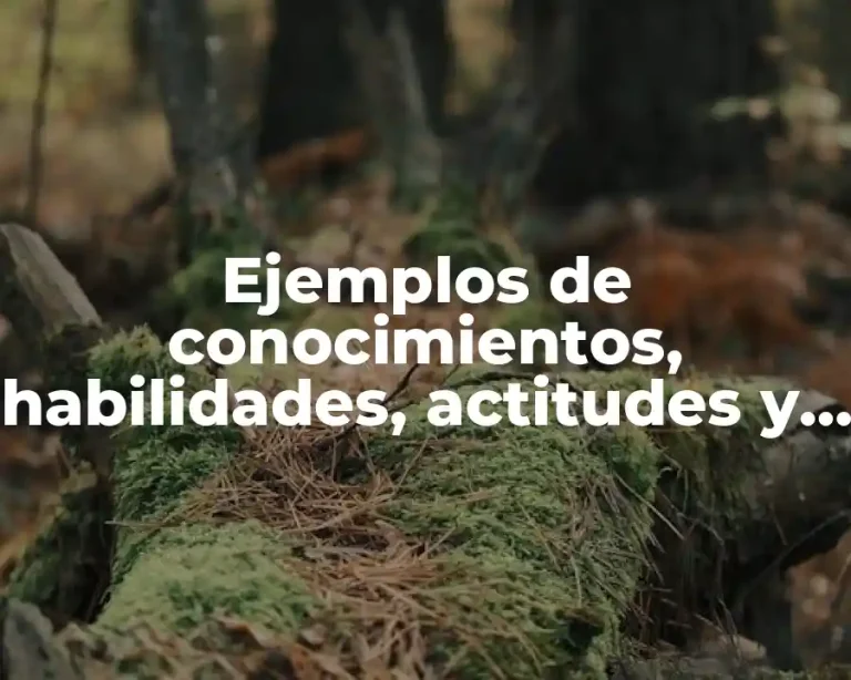 Ejemplos de conocimientos, habilidades, actitudes y valores