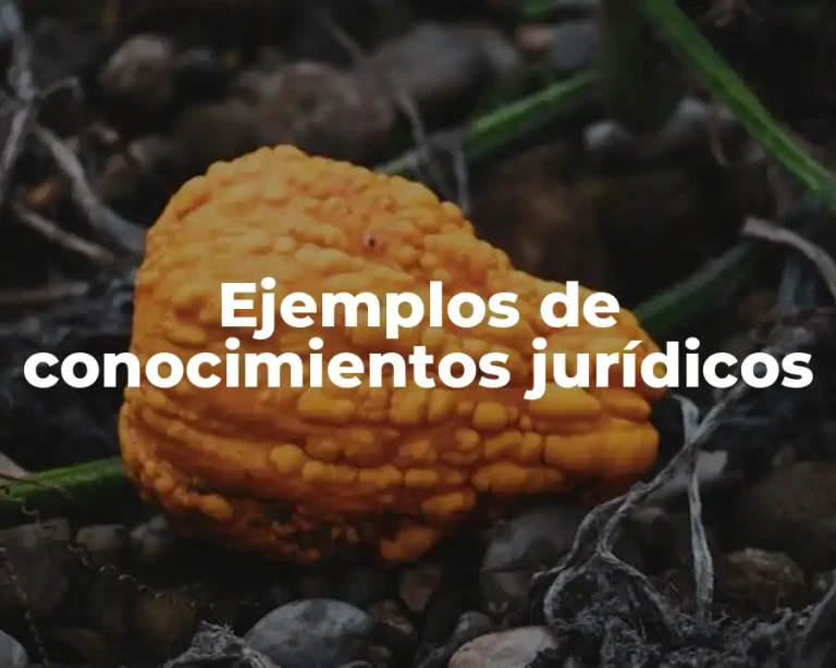 Ejemplos de conocimientos jurídicos