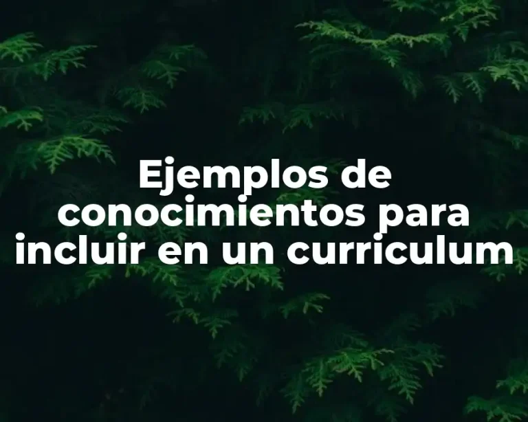 Ejemplos de conocimientos para incluir en un curriculum