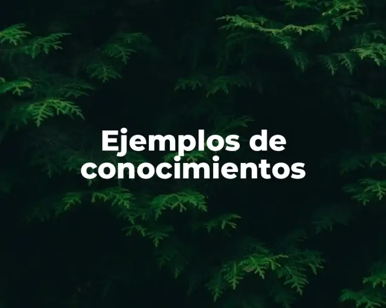 Ejemplos de conocimientos