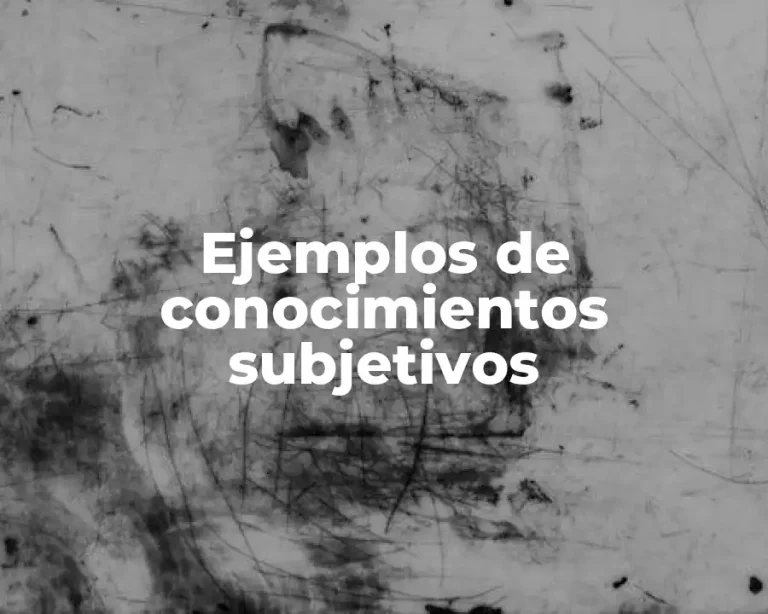 Ejemplos de conocimientos subjetivos