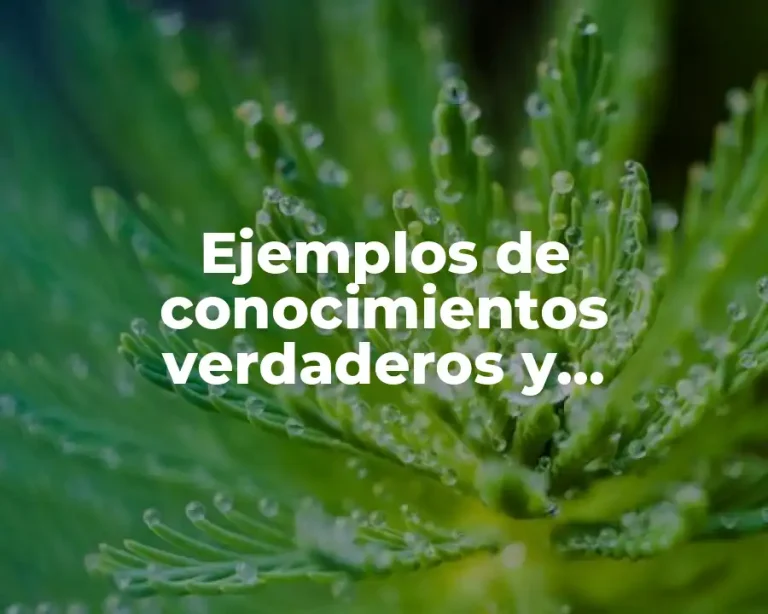 Ejemplos de conocimientos verdaderos y Significado