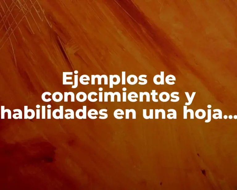 Ejemplos de conocimientos y habilidades en una hoja de vida