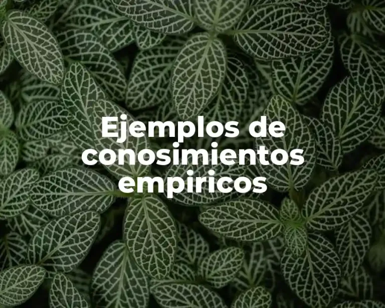 Ejemplos de conosimientos empiricos