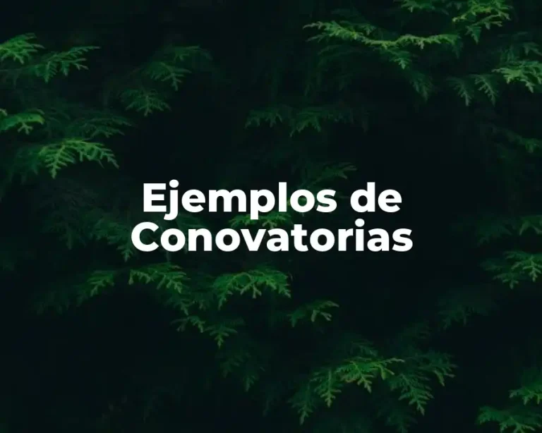 Ejemplos de Conovatorias