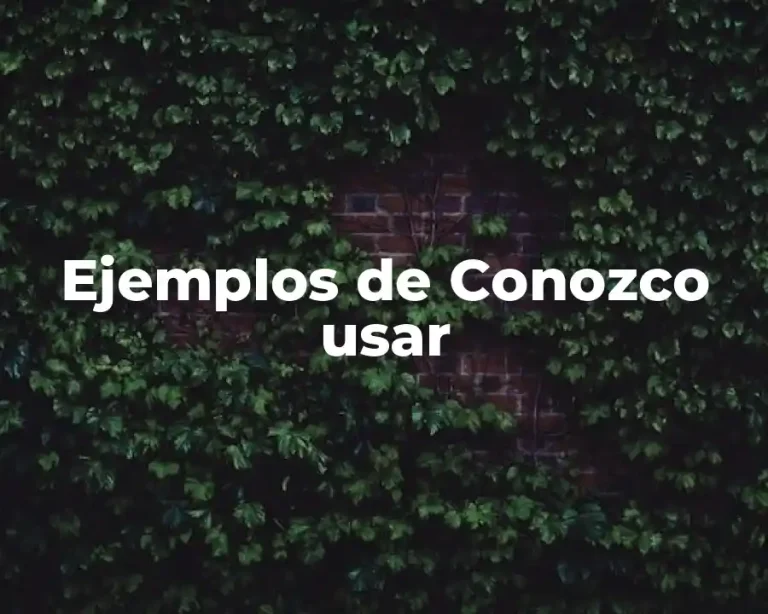 Ejemplos de Conozco usar