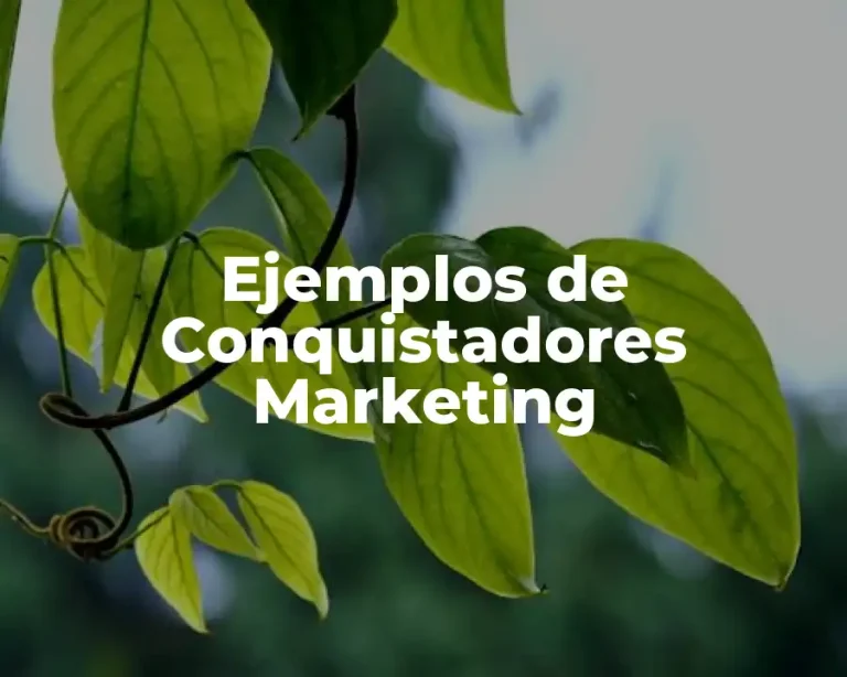 Ejemplos de Conquistadores Marketing