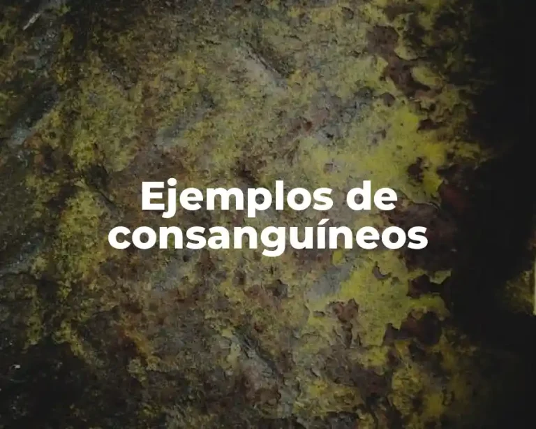 Ejemplos de consanguíneos