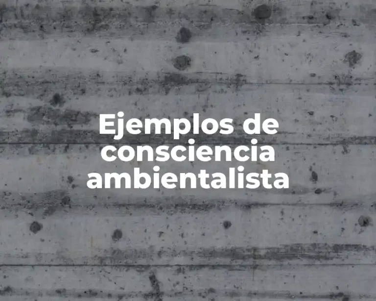 Ejemplos de consciencia ambientalista