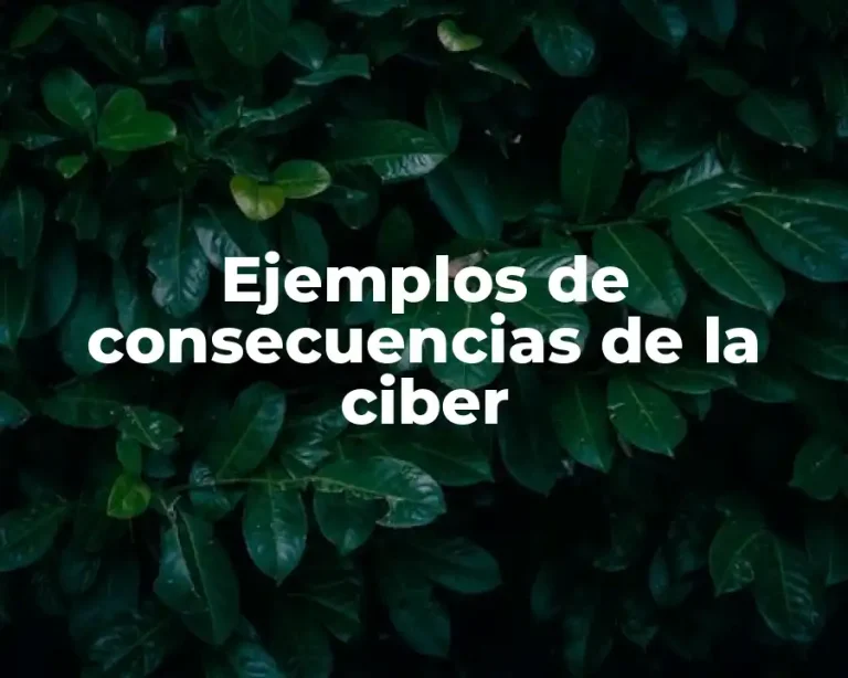 Ejemplos de consecuencias de la ciber