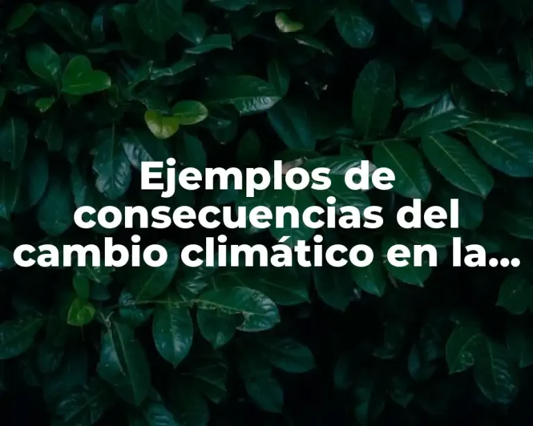 Ejemplos de consecuencias del cambio climático en la biodiversidad