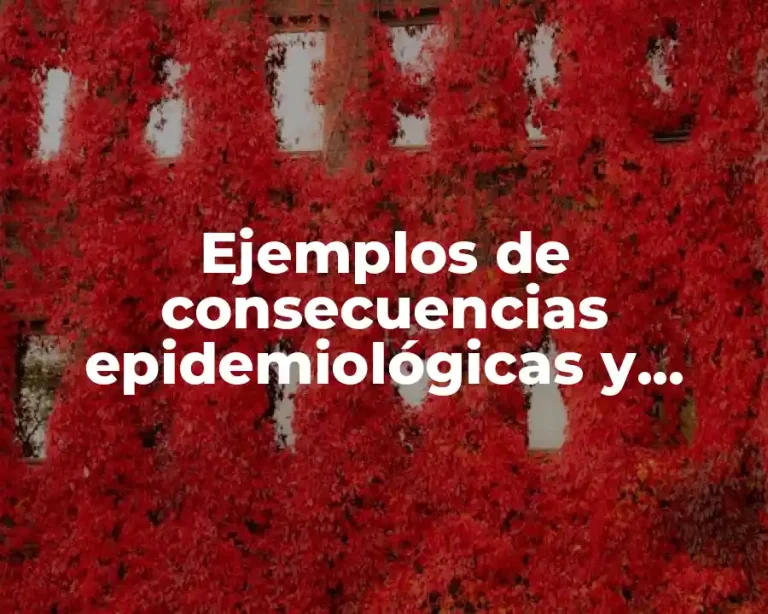 Ejemplos de consecuencias epidemiológicas y Significado