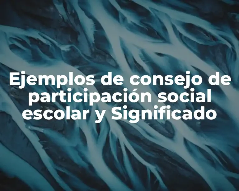 Ejemplos de consejo de participación social escolar y Significado