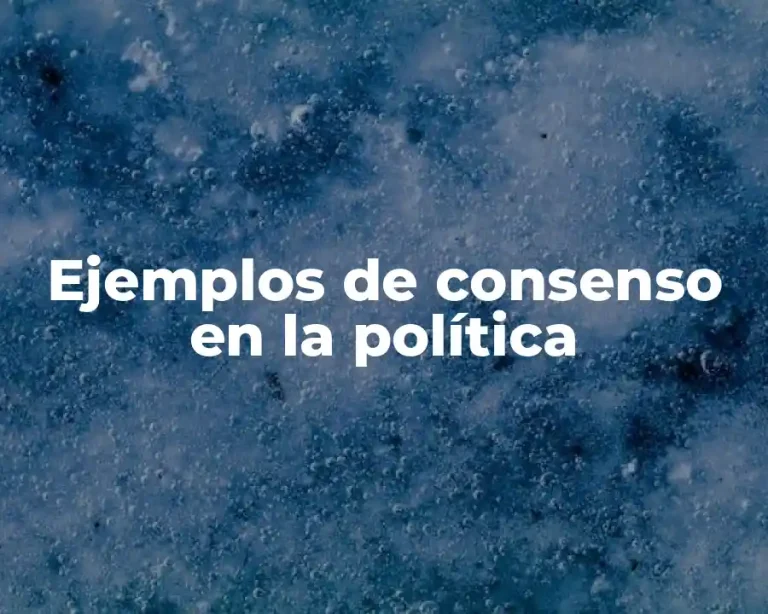 Ejemplos de consenso en la política
