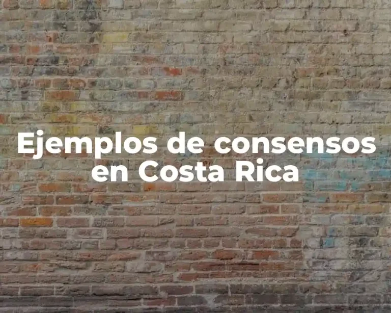 Ejemplos de consensos en Costa Rica