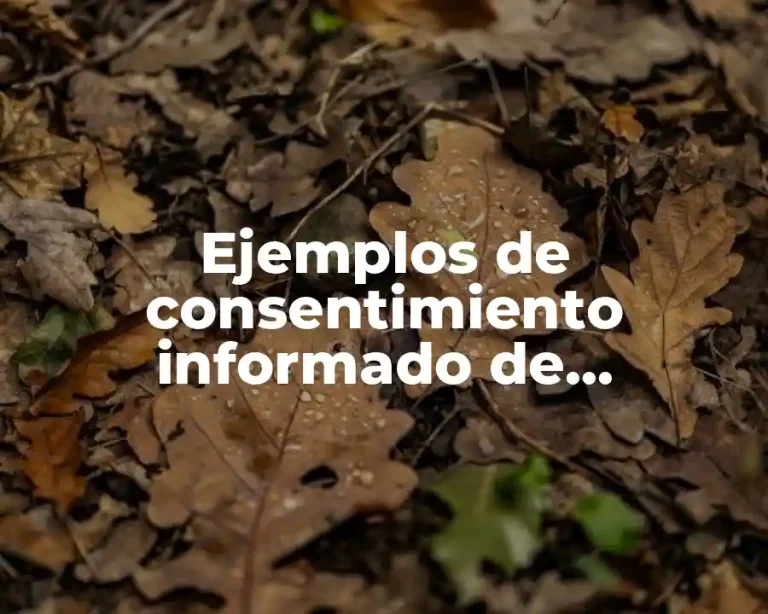 Ejemplos de consentimiento informado de valoración gerontologica