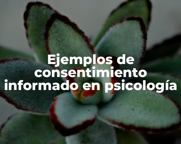 Ejemplos de consentimiento informado en psicología