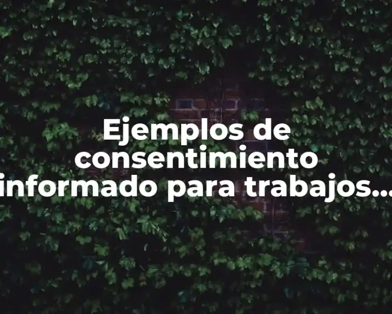Ejemplos de consentimiento informado para trabajos de investigación y Significado
