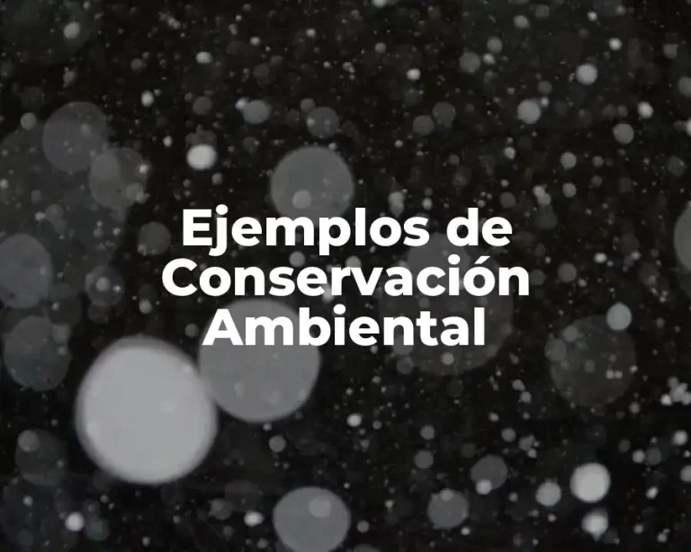 Ejemplos de Conservación Ambiental
