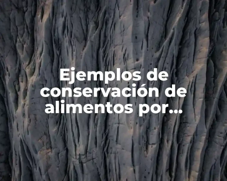 Ejemplos de conservación de alimentos por desidratación