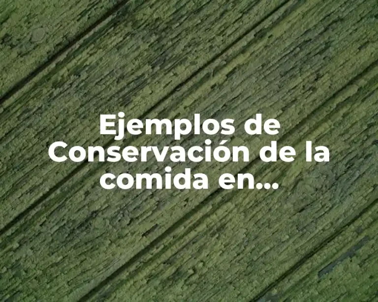 Ejemplos de Conservación de la comida en deshidratación