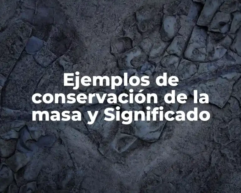 Ejemplos de conservación de la masa y Significado