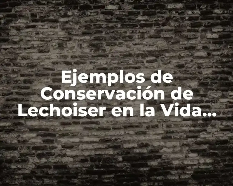 Ejemplos de Conservación de Lechoiser en la Vida Cotidiana y Significado