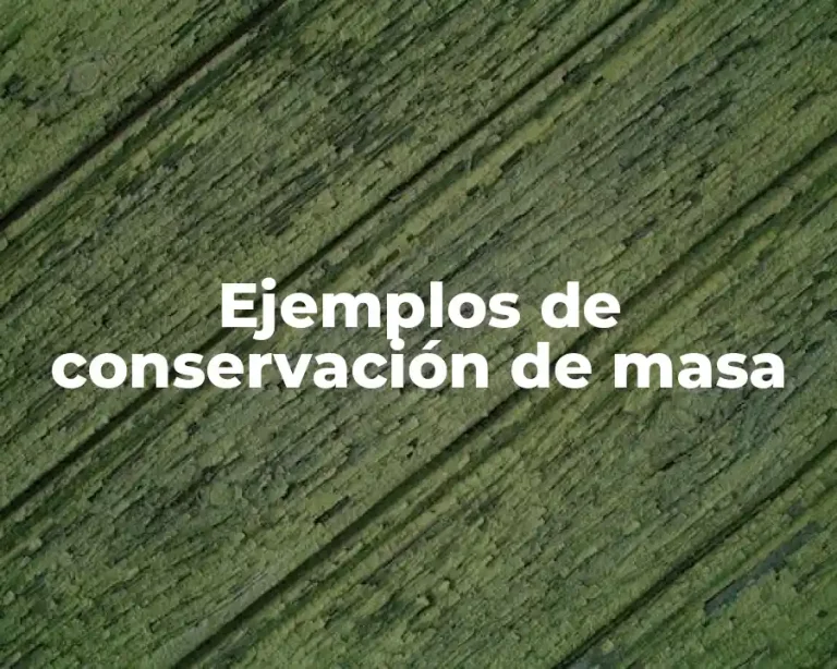 Ejemplos de conservación de masa