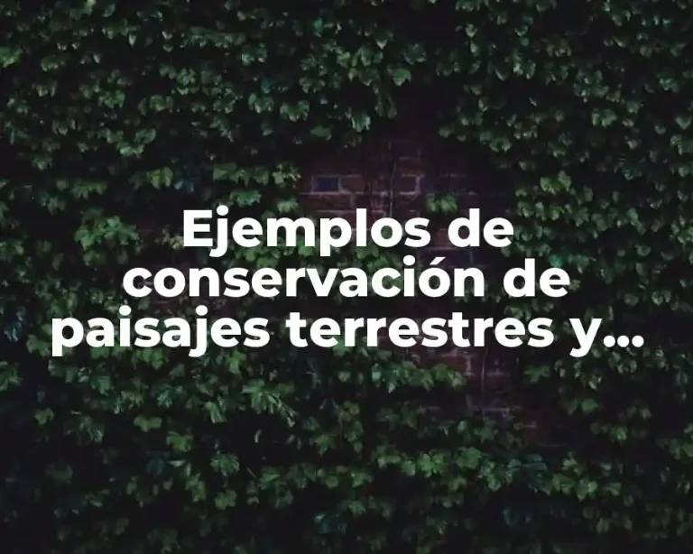 Ejemplos de conservación de paisajes terrestres y marinos