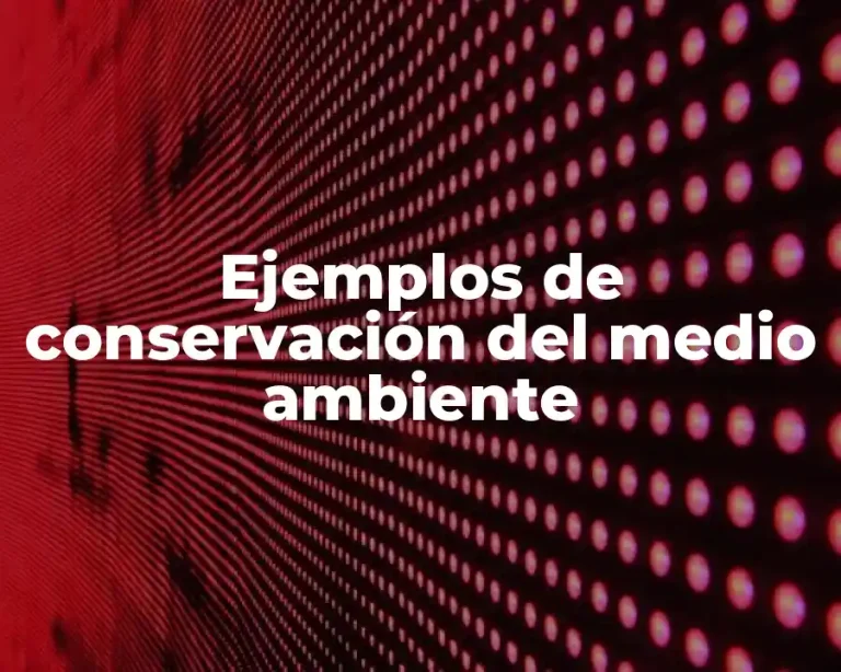 Ejemplos de conservación del medio ambiente